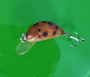 Wobler BALSA na Kleń Jaź Okoń Szczupak itp. Sprawdzony Kiler ok.3,5cm 2g