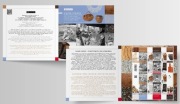 Folder z arkusikiem ciętym Fi: 5499 - 5502 Ginące zawody.
