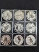 Kookaburra 2014 2015 2016 2017 2018 2020 2021 F15 2007 2008 Fabulous