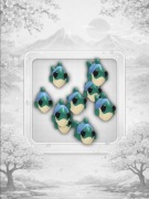 Many Mackerel Adopt Me