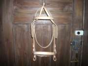 Uzda zaprzęgowa, ogłowie z okularami