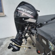 Silnik zaburtowy Mercury 25
