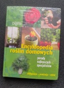 Encyklopedia roślin domowych. Porady najlepszych specjalistów 