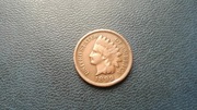 USA 1 cent 1899 (Indian head) 