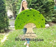 Drzewo życia  Chrobotek 