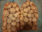 Ziemniaki ekologiczne BIO 10kg z certyfikowanego gospodarstwa ekologicznego