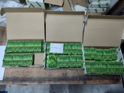 Złączki PE 2-przewodowa, 6 mm2, żółto-zielone model: 282-907. 143 szt