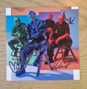 Skunk Anansie The Painful Truth cd z autografem