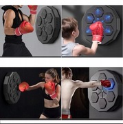 TRENINGOWA BOKSERSKA TARCZA MUZYKA BLUETOOTH BOKS 