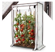 Szklarnia na pomidory