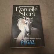Pegaz - Danielle Steel