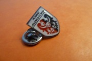 Jelenia Góra Powiat Herb pin przypinka