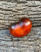 Marmande blue Pomidor kolekcjonerski 