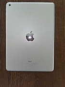 Srebrny iPad Apple 