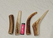 Poroże zestaw 4 szt naturalny Gryzak  dla psa  12-20 cm 