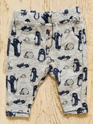 spodnie dresowe dla chłopca Zara pingwinki 6-9 miesięcy 74 cm + GRATIS