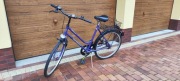 Rower capriolo sportiv