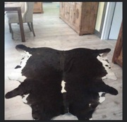 Sprzedam skórę z krowy 