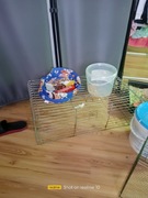 Klatka bez dna szer.39 długość 84cm