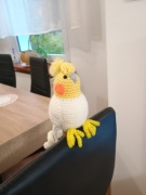 Papuga, papużka szydełkowa amigurumi