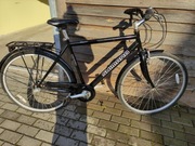 Rower miejski Magnum Classic Shimano 28