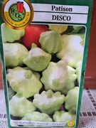 Dynia Patison 'Disco'