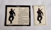 Magia i Miecz (Sfera) Podziemia karta postać Ninja (komplet)