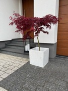 Donice ogrodowe, beton architektoniczny 40x40x40cm