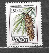 III RP znaczek FI3165** z 1991 - sosna wejmutka, czyste