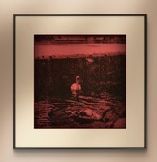 Oryginalna autorska serigrafia "Freedom" 