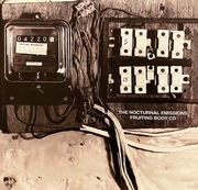 Nocturnal Emissions – Fruiting Body (Deluxe)