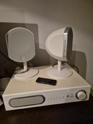 Focal Power bird 2.1 