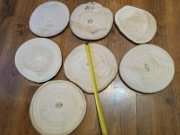 Plastry drewna 7 sztuk - ok. 25-30 cm