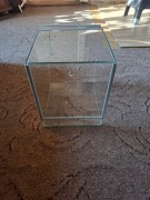 terrarium dla gadów 