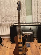 Epiphone Thunderbird Pro IV NO - piękny bas neck-thru 