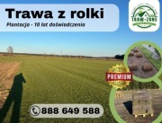 40m² trawa w rolce - Producent