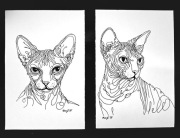 Dyptyk sfinksy, Shen Ji, 2025, A5x2