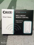 Pilot zdalnego sterowania Calex Ayct-202