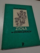 Książka - Zioła w doniczkach - Piotr Metera