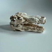 Mała czaszka ozdoba terrarium 