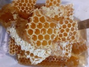 Plaster miodu. Miód w plastrach. Miód żywyj. Ramka z miodem