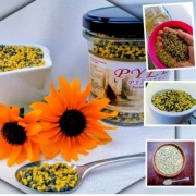 Świeży pyłek pszczeli kwiatowy z polskiej pasieki 10kg 2025r