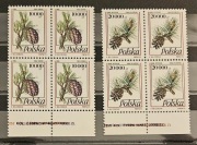 Fi: 3308 - 3309** czwórki foto. Owoce drzew iglastych /2/.