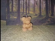 Misiu świeczka woskowa 