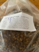 TARCZYCA BAJKALSKA korzeń tarczycy 630g Aromatika