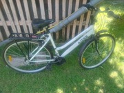 Rower TeamRaider męski