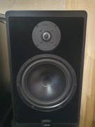 Monitory High End Canton ergo dc32 