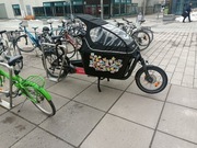 sprzedasz rowerow cargo,zabudowa