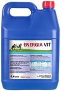 Energia VIT Bańka 5 kg