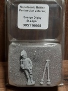 Black Powder Napoleonic Wars British Veteran Sztandar Warlordgames